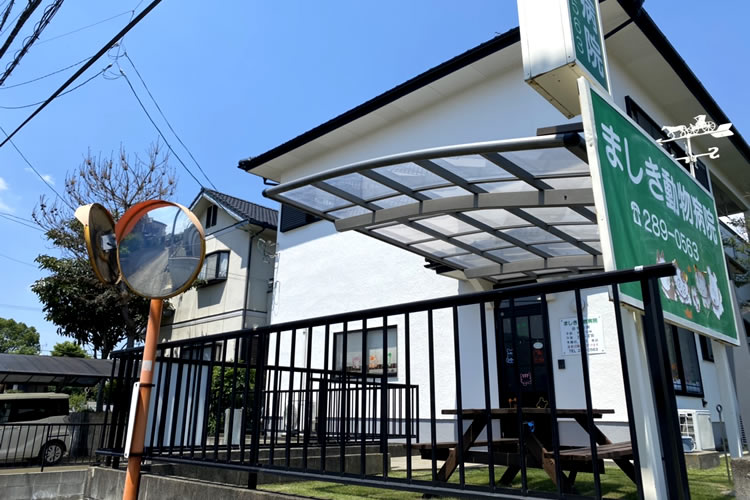 アクセス